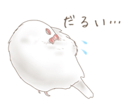 23747806