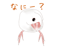 23747812