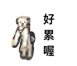 237507348