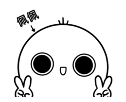 237516651