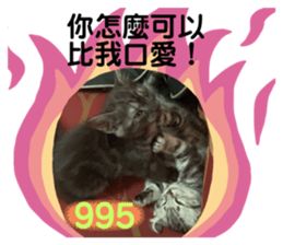 237564333