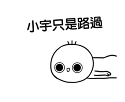237582174