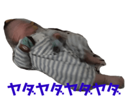 237583810
