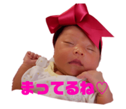 237615539