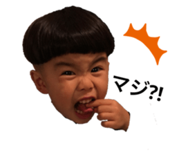 237639448