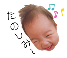 237640442