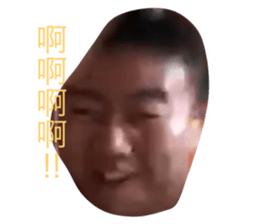 237643433
