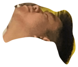 237643445