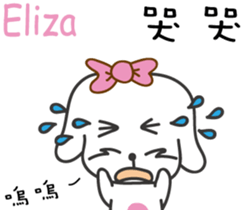 237652528