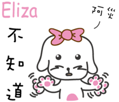 237652541