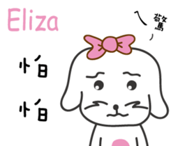 237652549