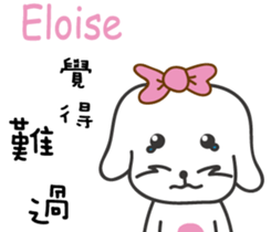 237653119