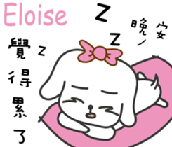 237653126