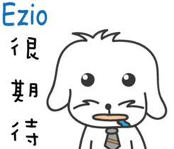 237686307
