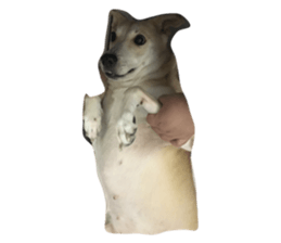 23768690