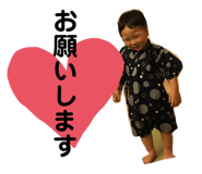 237686920
