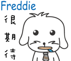 237687643
