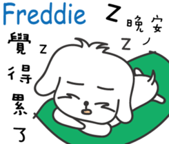 237687646