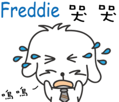 237687648