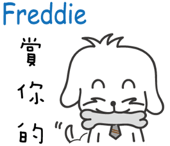 237687663