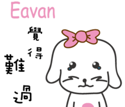 237688207