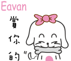 237688231