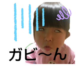 237698662