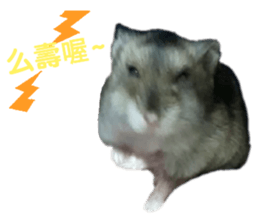 237741752