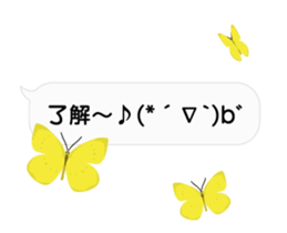 23774184