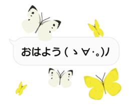 23774188
