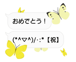 23774192