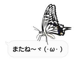 23774195