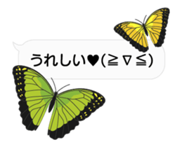 23774196