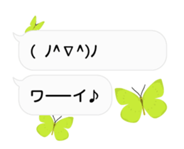 23774197