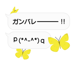 23774199