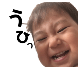 237767824