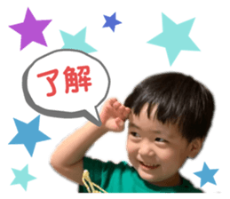 237832817