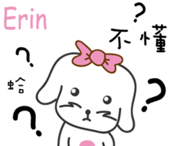 237835912