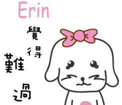 237835919