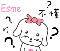 237839008