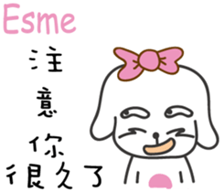 237839010