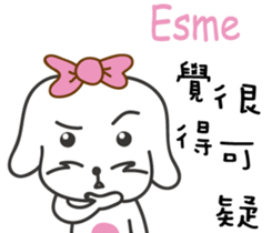237839016