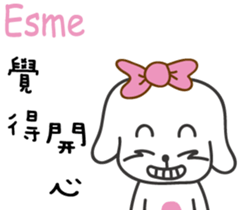 237839017