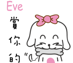 237841535