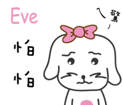 237841541