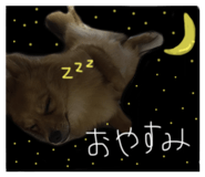 23786572