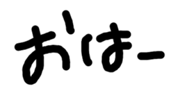 23793941