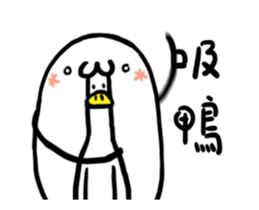 237956622