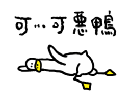 237956628