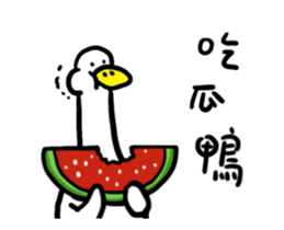 237956630